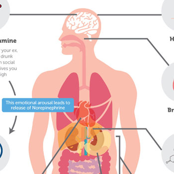 what a breakup does to your body